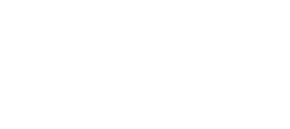 light logo